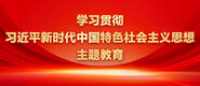 操逼骚逼摸逼1.c学习贯彻习近平新时代中国特色社会主义思想主题教育_fororder_ad-371X160(2)